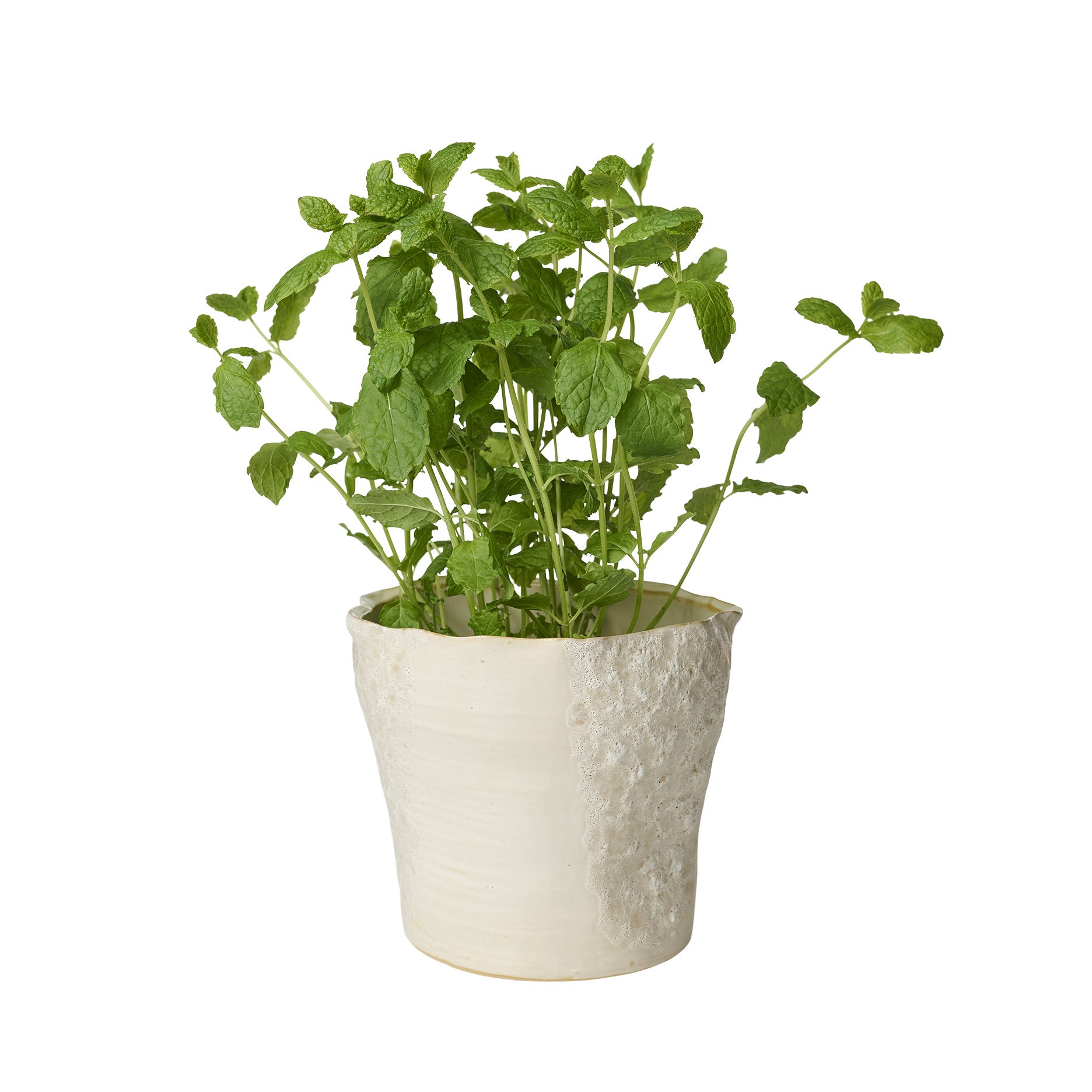 Sculpted Blumentopf D17 cm